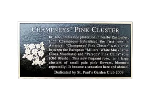 Champneys Pink Cluster Cast Bronze Garden and Bench Plaque Image
