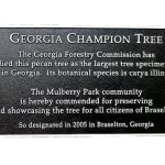 Georgia Champion Tree Cast Bronze Garden and Bench Plaque Image