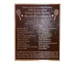 Texas Team Tennis Bronze Wall Plaque Image