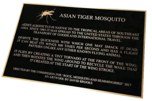 Asian Tiger Mosquito Etched Bronze Plaque Image