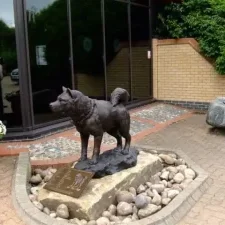 Husky Statue With Bronze Portrait Plaque Image