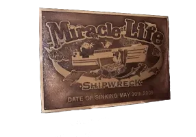 Miracle of Life Cast Bronze Wall Plaque Image