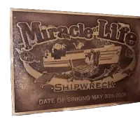 Miracle of Life Cast Bronze Wall Plaque Image